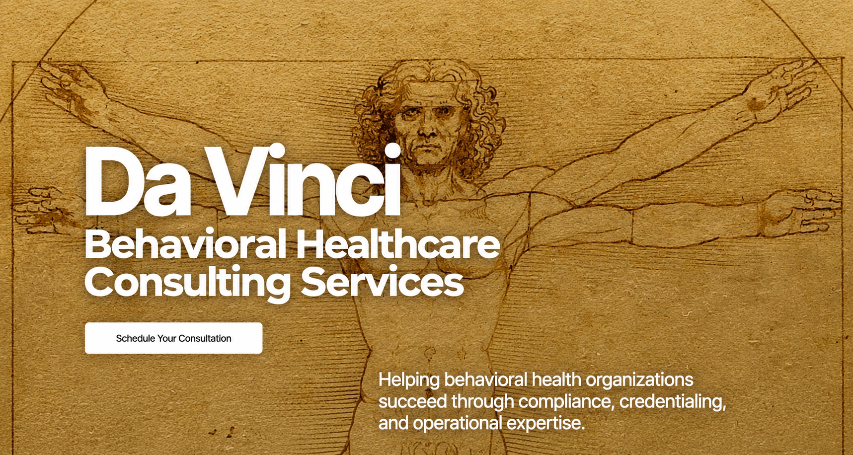 Da Vinci Consulting Services website